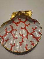 Coral jumbo shell dish