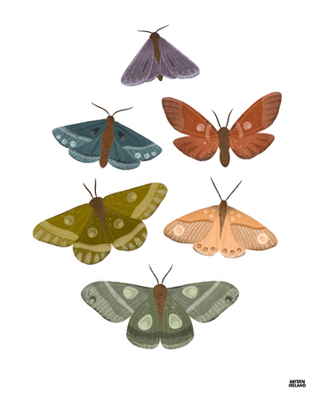 Moths 8x10