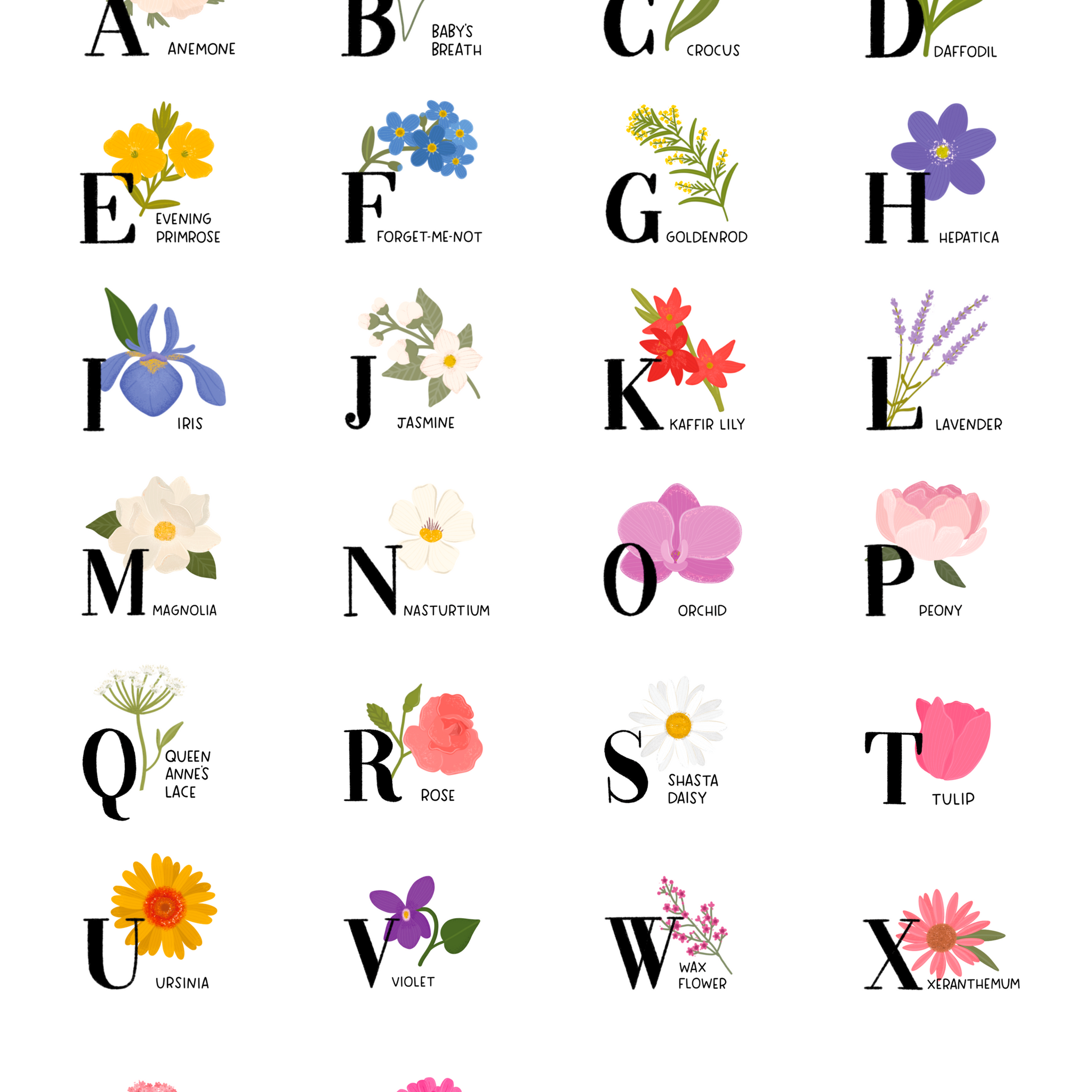 Floral Alphabet 8x10