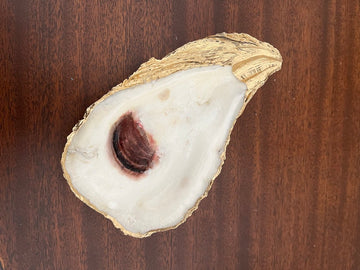 Oyster Shell Trinket Tray